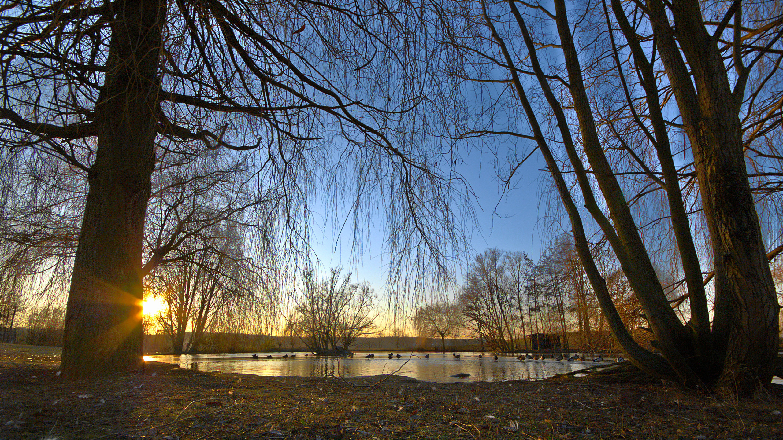 ZDF See
